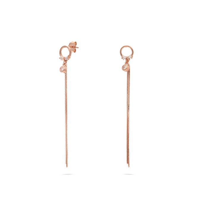 Hang On Earrings